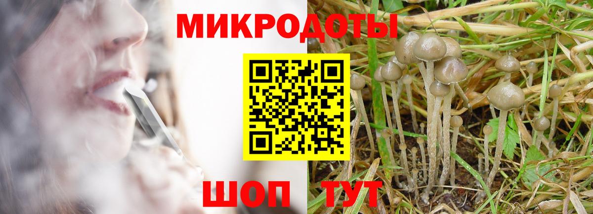 Псилоцибиновые грибы Psilocybe Чайковский